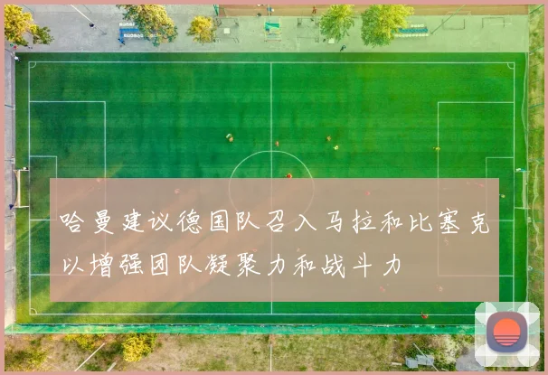 哈曼建议德国队召入马拉和比塞克以增强团队凝聚力和战斗力