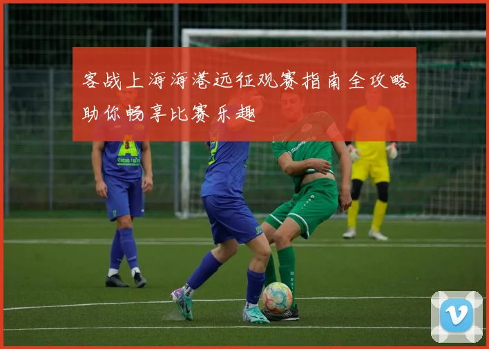 客战上海海港远征观赛指南全攻略助你畅享比赛乐趣